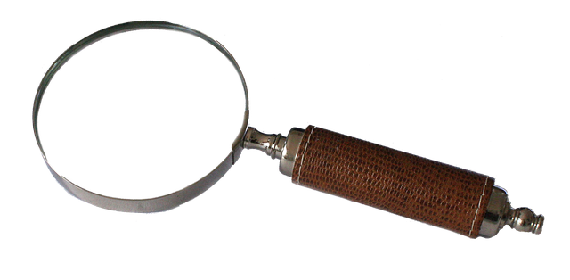 lupa